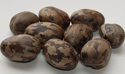 Factory exterior and grounds